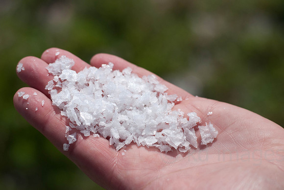 commercial, small business, branding, seasalt, gloucester, boston